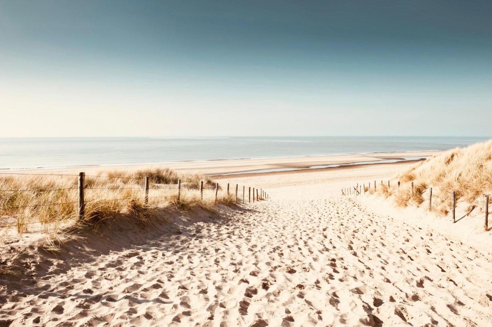 Noordster Beachhouse โนร์ดวิก ภายนอก รูปภาพ